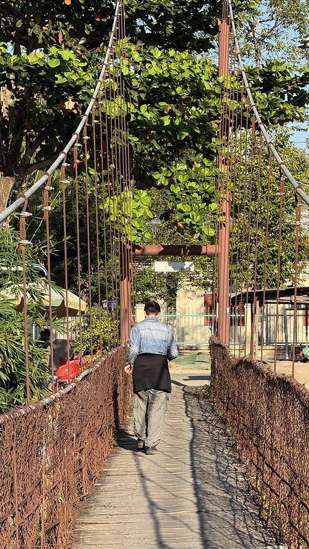 Susan walking across the hanging bridge